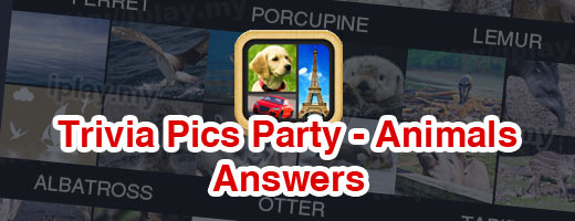 Trivia Pics Party Answers Animals Cover
