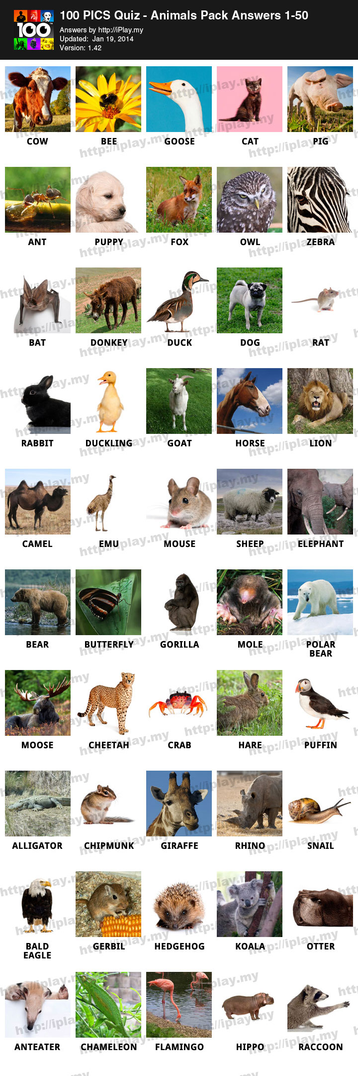100-Pics-Quiz-Animals-Pack-Answers-1-50