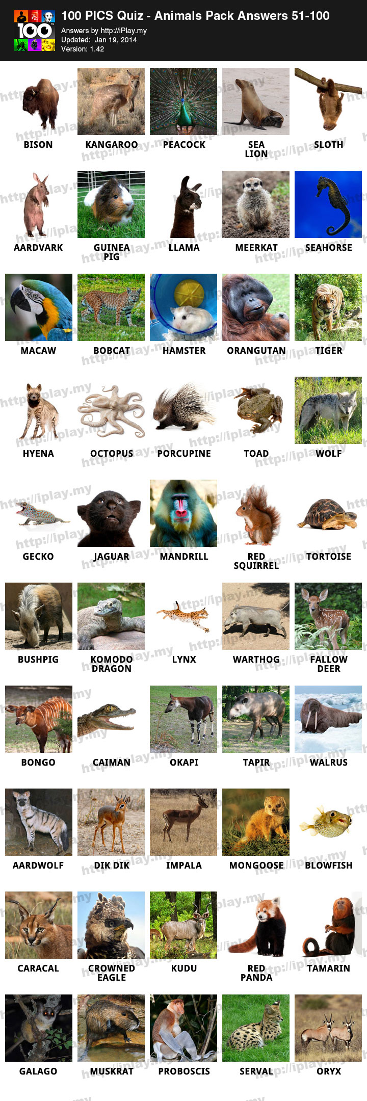 100-Pics-Quiz-Animals-Pack-Answers-51-100