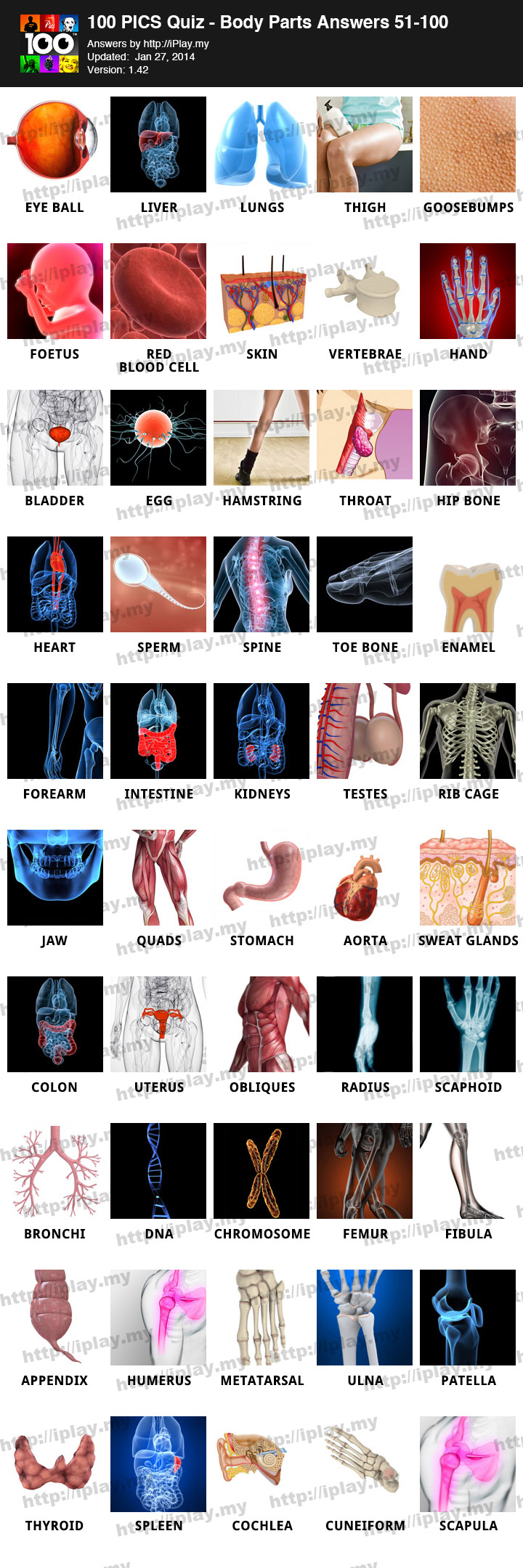 100-Pics-Quiz-Body-Parts-Pack-Answers-51-100